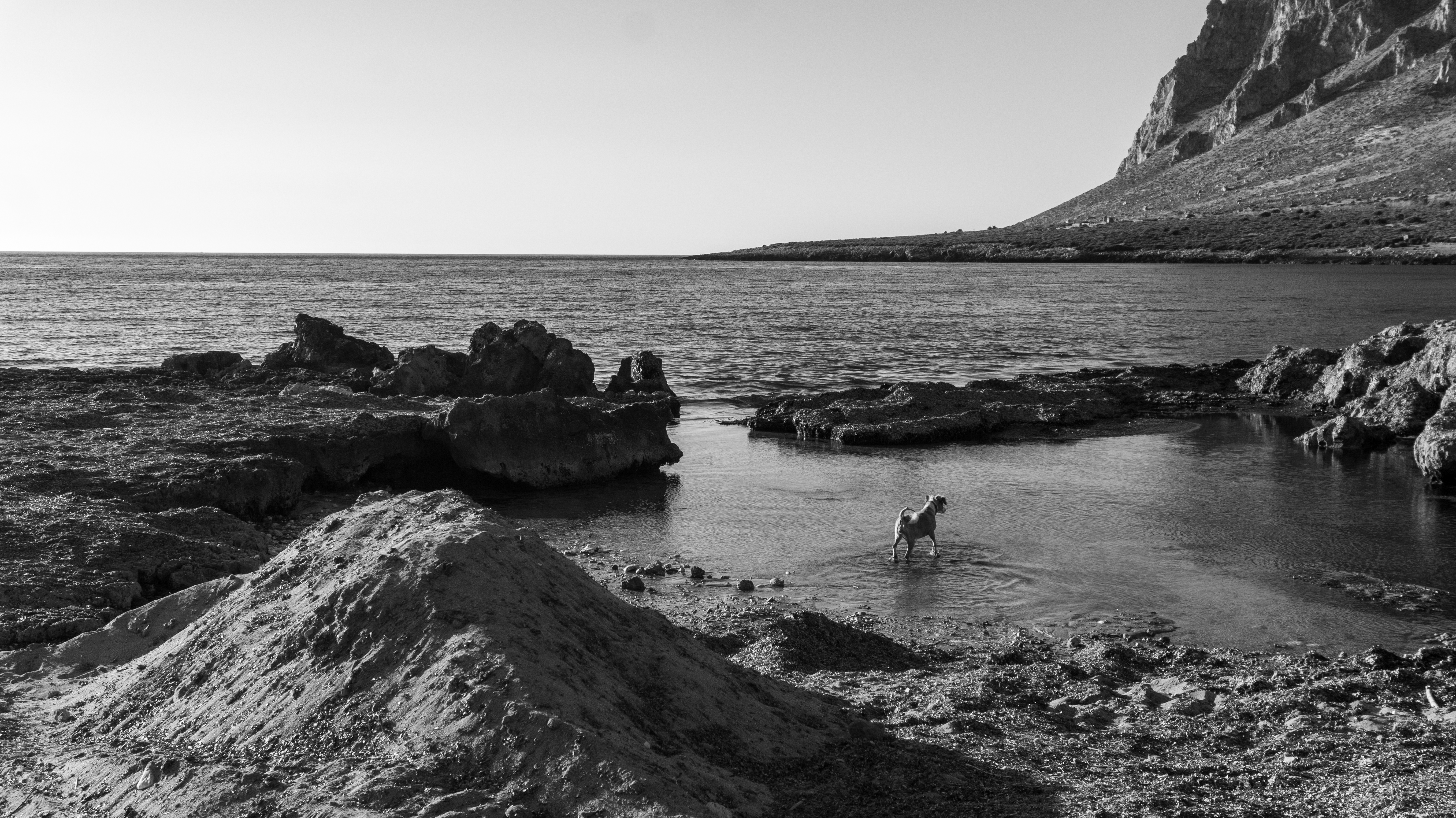 L'altra isola — immagine 11 di 26