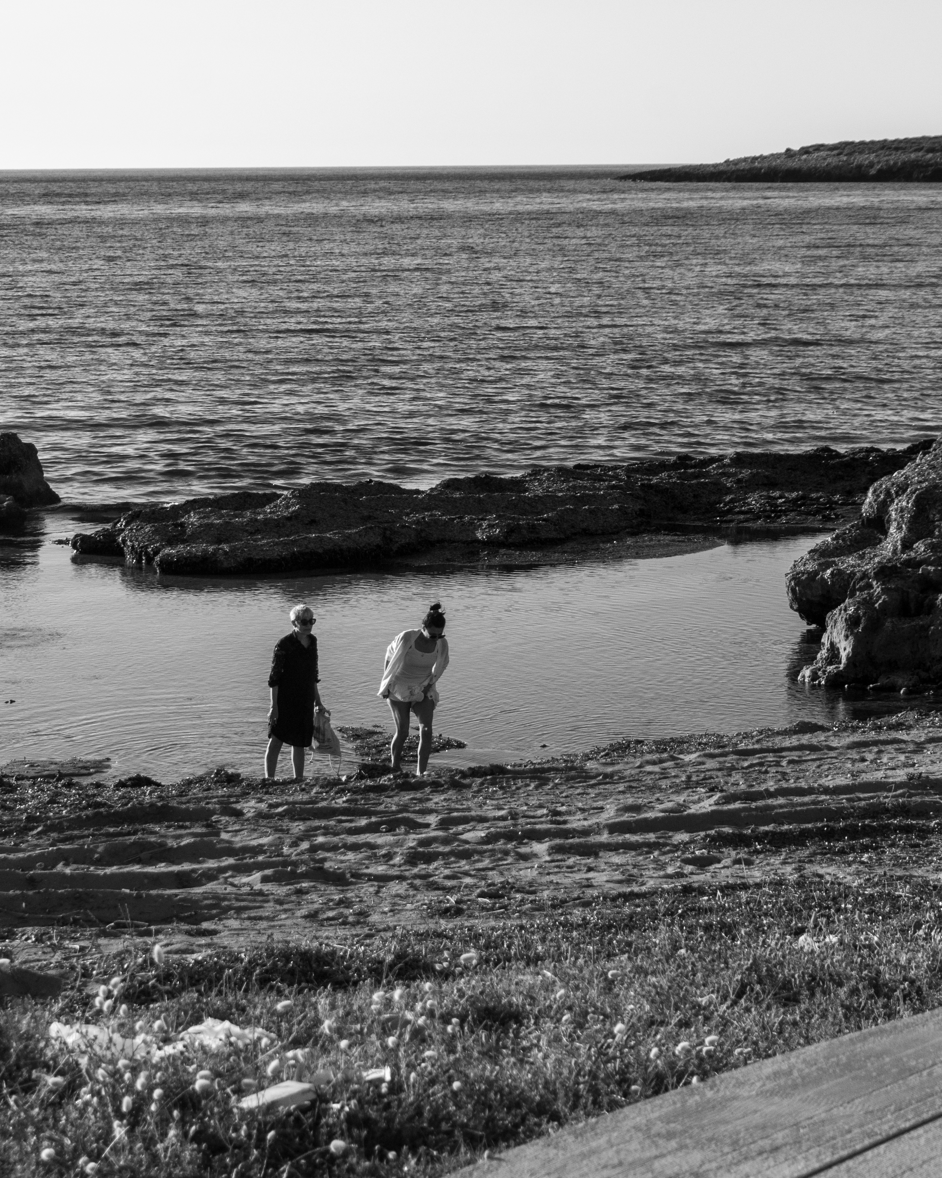 L'altra isola — immagine 14 di 26