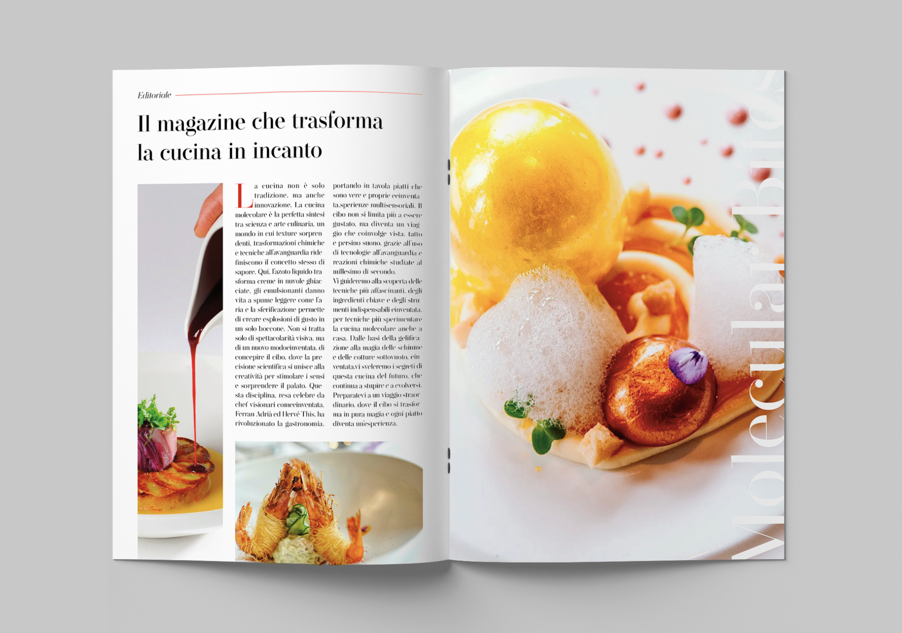 Molecular Bites — immagine 2 di 6