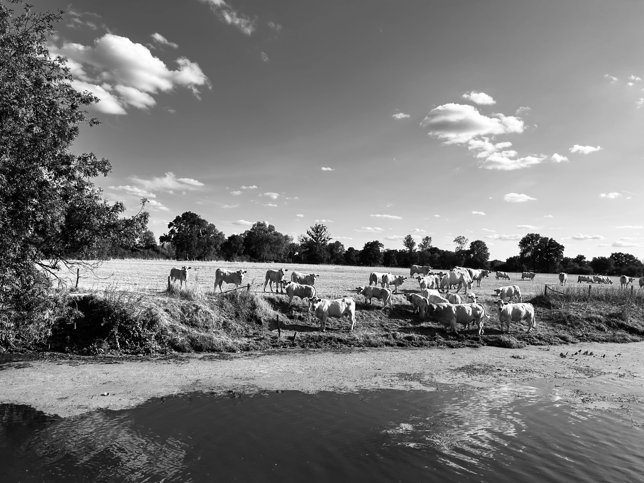 Reportage di un viaggio in Francia — immagine 12 di 16